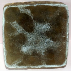 May include: A square, brown object with a textured surface and white accents around the edges. The object has a slightly translucent appearance, with a mottled pattern across its surface. The corners are rounded.