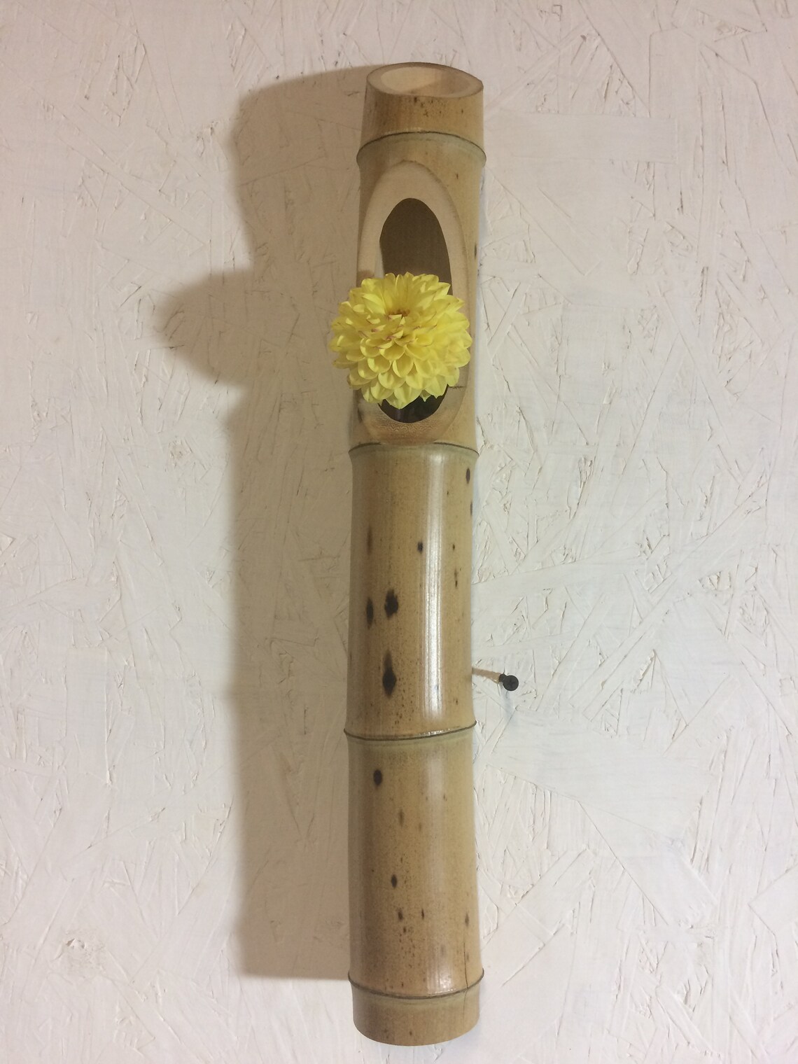 Bamboo flower vase for wall Etsy
