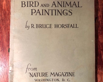 Bird and Animal Paintings