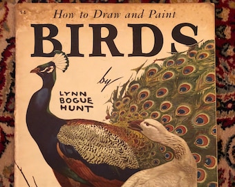 How to Draw and Paint Birds