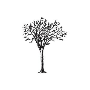 Könnte beinhalten: Eine Schwarzweiß-Zeichnung eines kahlen Baumes mit Ästen, die nach oben und nach außen ragen.