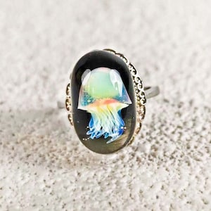May include: A silver ring with a black oval cameo featuring a colourful jellyfish with iridescent blue tentacles.