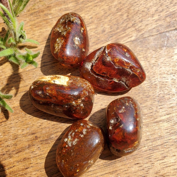 One Piece Tumbled Russian Amber, Baltic Amber