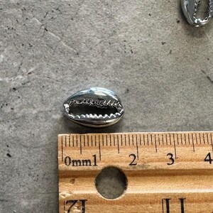 10 Silver Tone Shell Charms