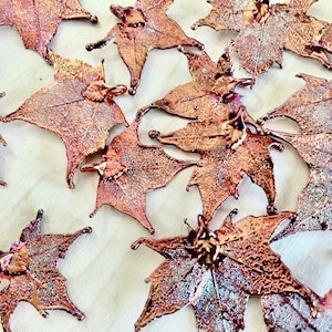 One Copper REAL Maple Leaf ODD SHAPED Pendant 1.25&quot; to 2&quot; wide | Asymmetrical Fall Leaves for Holiday Crafts, Ornaments, and Jewelry Making