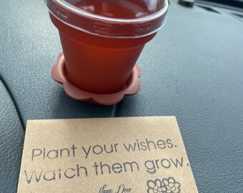 Plant Your Wishes Planter and Seed Paper Kit