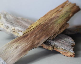 Hardscape Bag, terrarium wood, enclosure, isopod, dry wood, pine, driftwood,