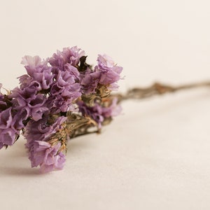May include: A bouquet of dried lavender flowers with a light purple hue. The flowers are arranged in a cluster and have a delicate, wispy texture.