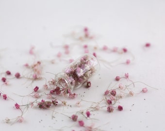 Dried Tiny Garlic & Onion flowers for resin and crafts and jewellery