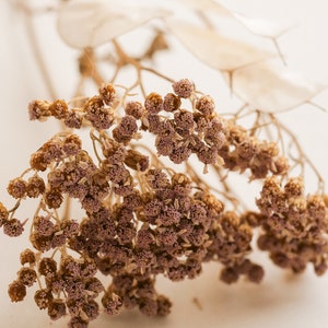 May include: Dried flower bouquet with brown and purple flower heads and thin stems.