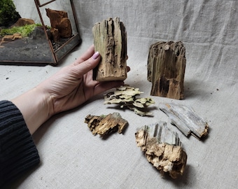 Hardscape Landscaping Terrarium Pack, Vivarium, Beginners pack, pine bark, wood for terrarium, paladrium and isopod