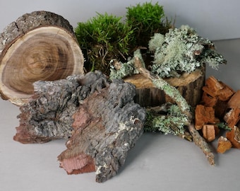 Terrarium Starter Kit | Fern Moss, Lichen Sticks & Blackwood Slice