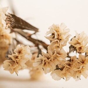 May include: A cluster of dried, cream-colored flowers with delicate, ruffled petals. The flowers are arranged on a thin, brown stem.