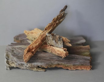 Dry wood Photography Styling Prop Set | Moss, Bark & Lichen Texture, natural supplies