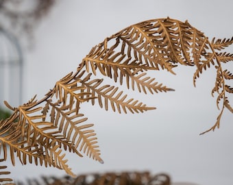 Box of Dried Fern Stems |Photography Props | Natural Decor | Crafts | Floral Bouquets | Arrangements | 10cm - 25cm lengths