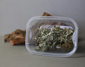 Lichen Terrarium Decoration Punnet, assorted decor pack, paladrium, vivarium - open and closed enclosure, terrarium kit, open terrarium