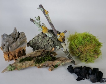 Terrarium Starter Pack for Open & Closed Terrariums and Enclosures |