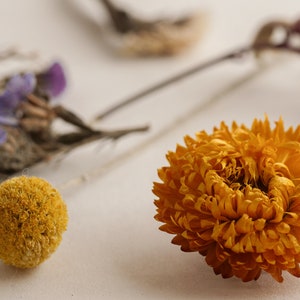 May include: Dried flowers in a variety of colors, including yellow, purple, and brown. The flowers are arranged on a white surface.