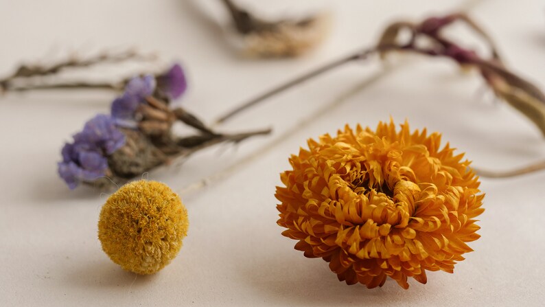 May include: Dried flowers in a variety of colors, including yellow, purple, and brown. The flowers are arranged on a white surface.