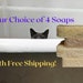 see more listings in the Soap with free shipping section