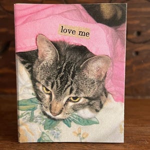 Cat zine