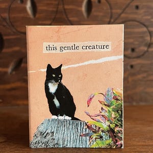 Cat zine