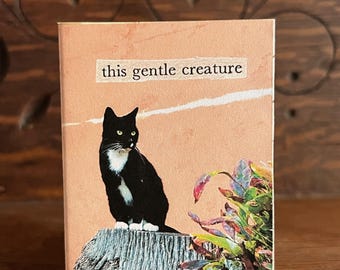 Cat zine