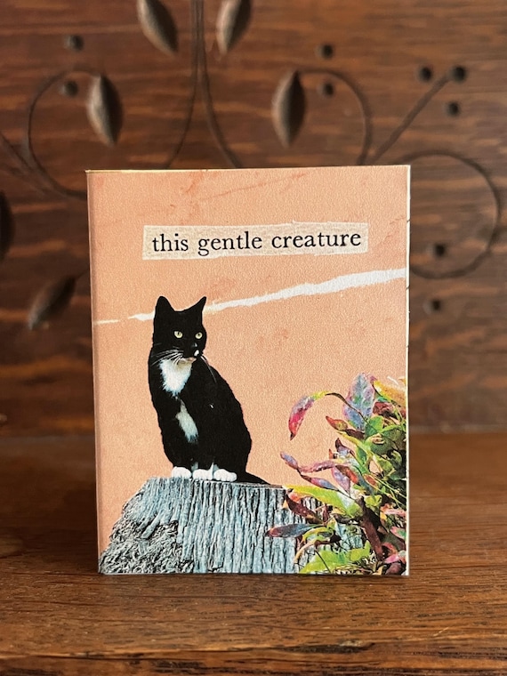 Cat zine