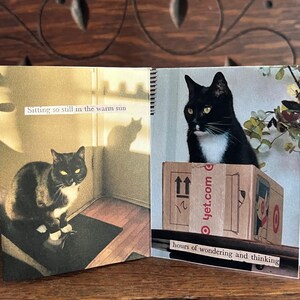 May include: A black and white cat sitting in a sunbeam with the text "Sitting so still in the warm sun". The cat is looking at the camera. The second page of the book shows a black and white cat sitting on a cardboard box with the text "yet.com" and "hours of wondering and thinking".