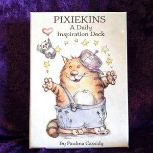 May include: A rectangular box with the title "PIXIEKINS A Daily Inspiration Deck" features a cartoon cat wearing dungarees and a hat, surrounded by stars. A small creature floats above the cat holding a heart-shaped balloon. The author's name, Paulina Cassidy, is at the bottom.