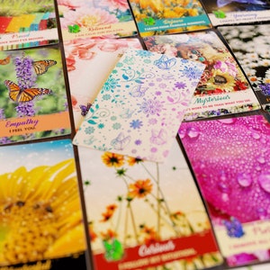 BINNENKORT MET PENSIONEREN | Feelings In Bloom Oracle Deck | Liefdesberichten | Tweelingvlammen | Soulmates | Lente en zomer | Affirmaties | 53 kaarten