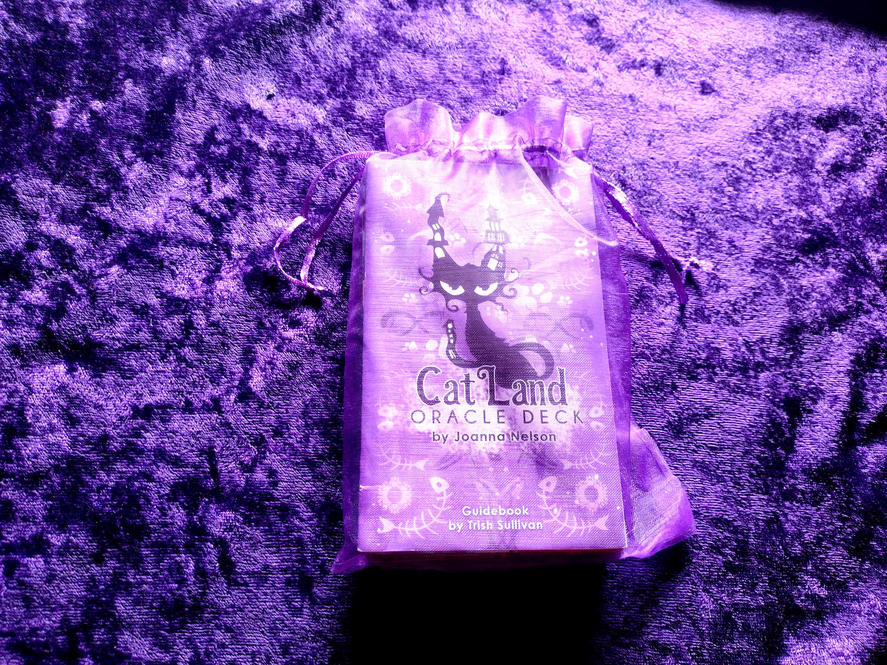 Cat land oracle deck - Etsy 日本