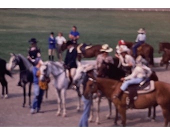 4 Kodachrome slides 1981 horses horse equestrian riding  possibly horse show