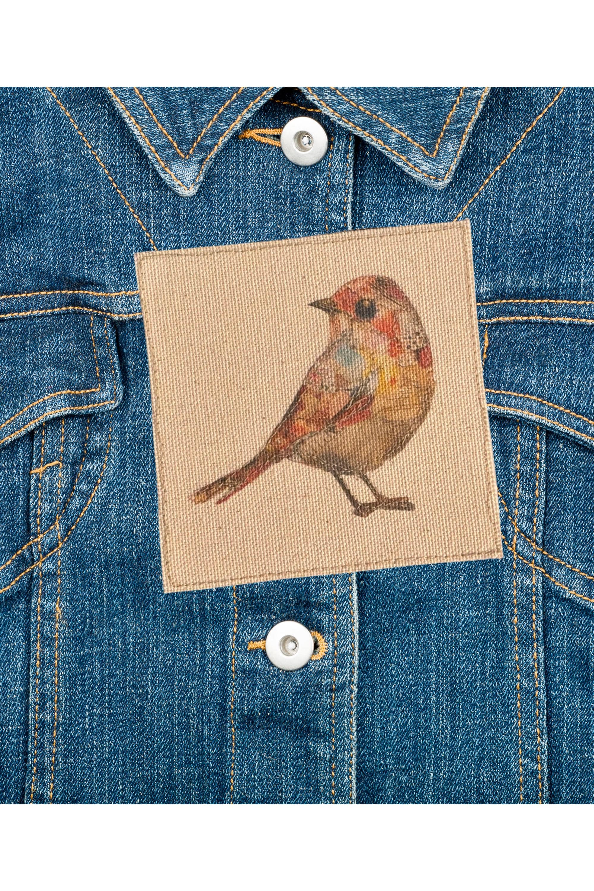 Parche de pájaro caprichoso para moda reciclada: aplique termoadhesivo de collage de 8,9 x 8,9 cm para chaquetas vaqueras, bolsos y manualidades con ropa.