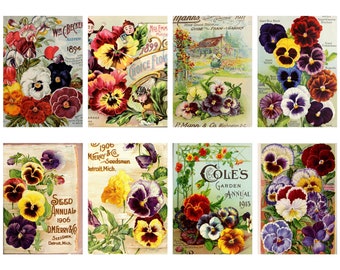 Vintage Botanical Pansy Flower Craft and Quilt Cotton Fabric Blocks by ReJoyce Studio AZ