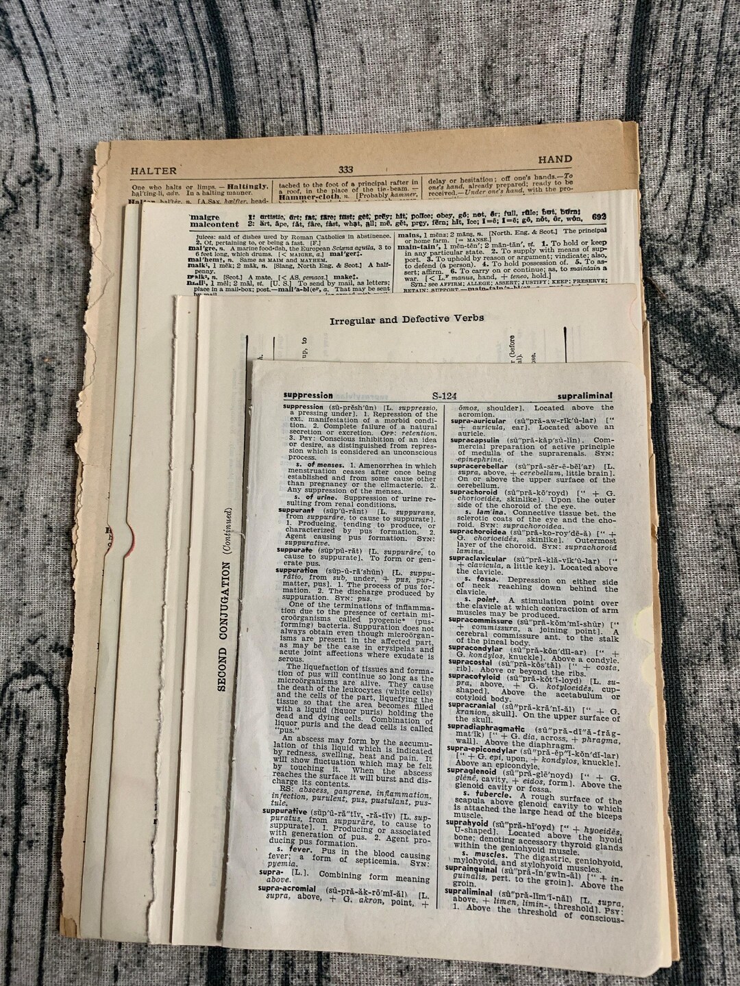 Vintage Ephemera Paper Pack | 25 Mixed Dictionary Pages for Junk ...