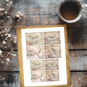 May include: A sheet of vintage-style paper with eight square images of birds on branches with pink flowers. The images are in a light brown, cream, and pink color scheme.