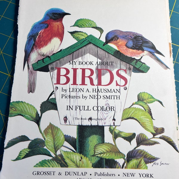 Bird Book Pages Set of 18 Bird Images  craft supply, junk journal supply, mixed media supply 11 x 8 inches