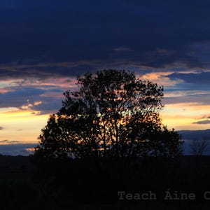 May include: A silhouette of a tree against a colorful sunset sky. The sky is a mix of pink, orange, and blue with clouds. The tree is in the foreground and is dark against the bright sky.