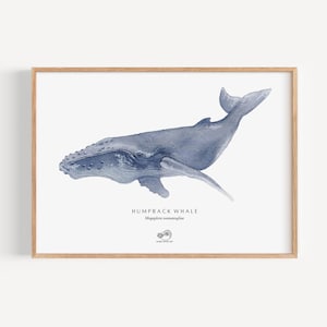 Humpback Whale Print - Tamika Heath Art