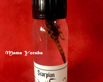 Scorpion Ritual Oil 60ml. for Candles, amulets, rituals... voodoo hoodoo spell