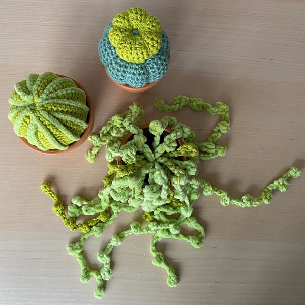 Cactus en crochet (amigurumi)