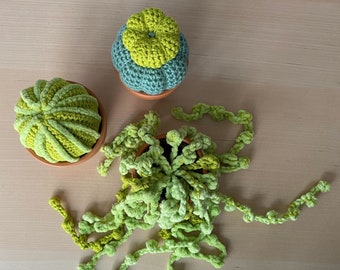 Cactus en crochet (amigurumi)