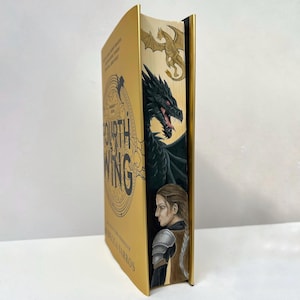 Libro con bordo anteriore dipinto a mano in edizione speciale Fourth Wing, Rebecca Yarros, personalizzato Iron Flame Onxy Storm, copertina rigida, copertina in carta, bordo spruzzato