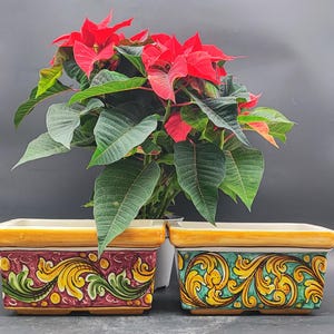 Caltagirone Ceramic vase holder 23 cm and various coloring