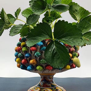 Caltagirone Ceramics half pinecone Sicilian Multicolour 20/21cm Dia.