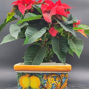 Caltagirone Ceramic vase holder 23 cm and various coloring