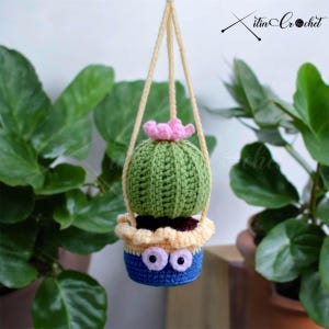 Minions Succulents - Etsy