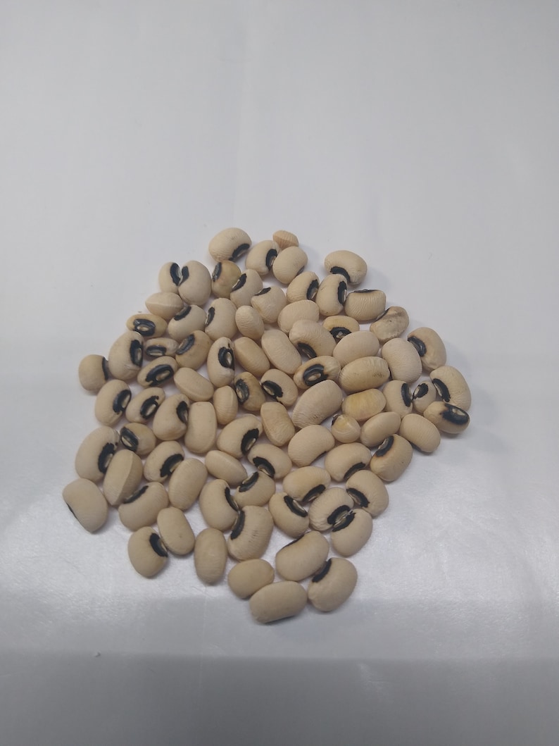 Black eyed peas bush variety 50 seeds Etsy
