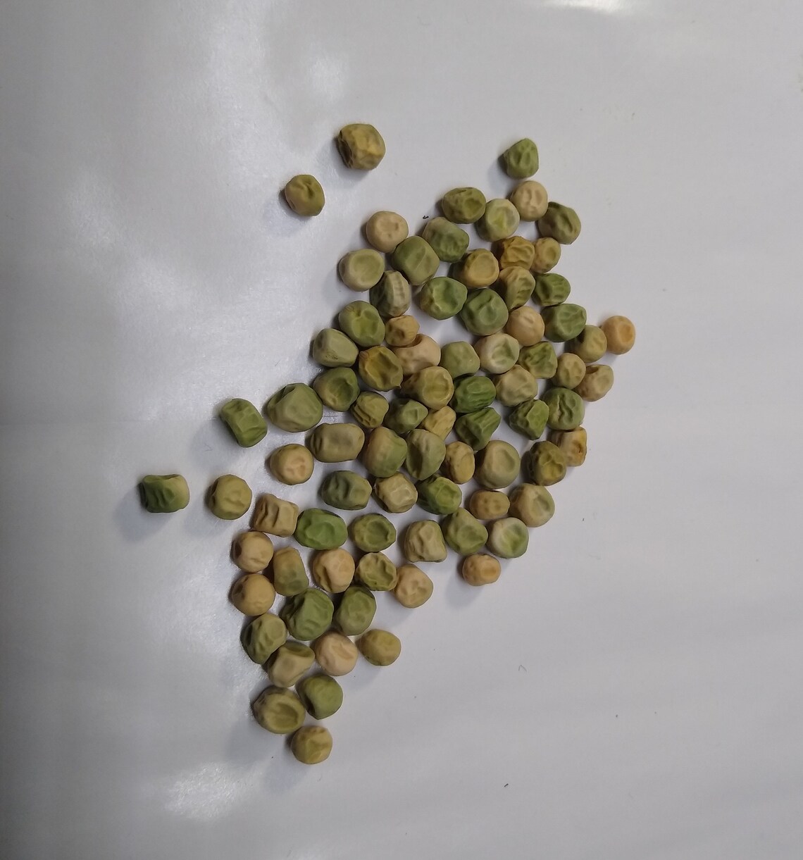 sugar snap peas seed sugar snap peas seed